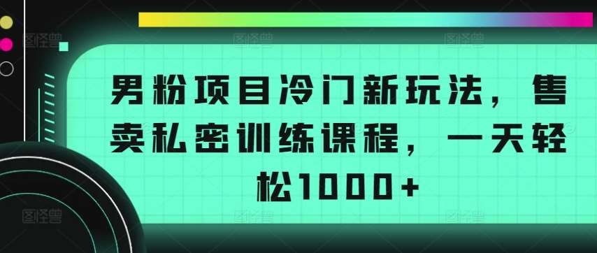 男粉项目冷门新玩法,售卖私密训练课程,一天轻松1000+【揭秘】网创吧-网创项目资源站-副业项目-创业项目-搞钱项目网创吧