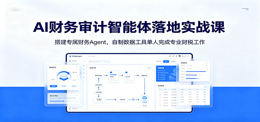 AI财务审计智能体落地实战课：搭建专属财务Agent，自制数据工具单人完成专业财税工作网创吧-网创项目资源站-副业项目-创业项目-搞钱项目网创吧