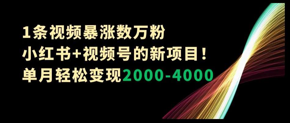 1条视频暴涨数万粉–小红书+视频号的新项目!单月轻松变现2000-4000【揭秘】网创吧-网创项目资源站-副业项目-创业项目-搞钱项目网创吧