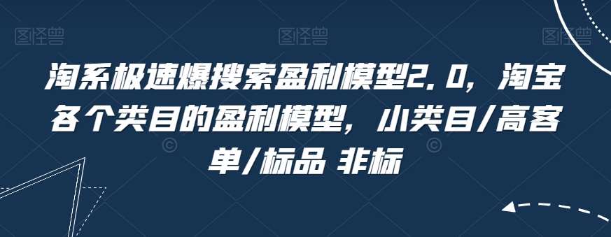 淘系极速爆搜索盈利模型2.0，淘宝各个类目的盈利模型，小类目/高客单/标品 非标网创吧-网创项目资源站-副业项目-创业项目-搞钱项目网创吧