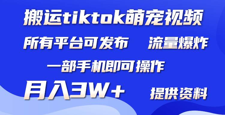 （9618期）搬运Tiktok萌宠类视频，一部手机即可。所有短视频平台均可操作，月入3W+网创吧-网创项目资源站-副业项目-创业项目-搞钱项目网创吧