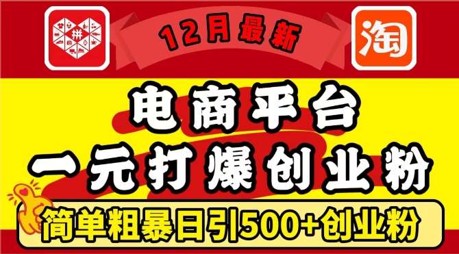 12月最新：电商平台1元打爆创业粉，简单粗暴日引500+精准创业粉，轻松月入过W【揭秘】网创吧-网创项目资源站-副业项目-创业项目-搞钱项目网创吧