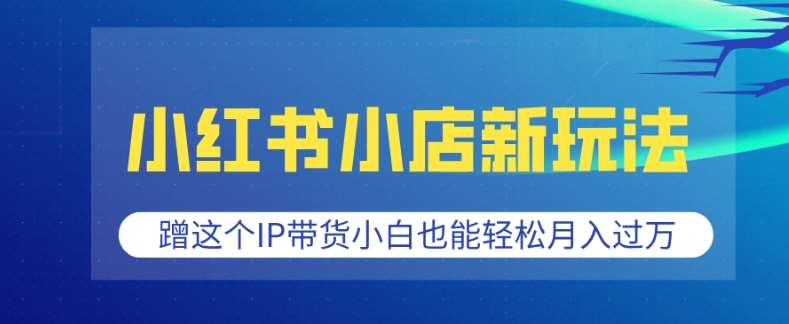 小红书小店新玩法,蹭这个IP带货,小白也能轻松月入过W【揭秘】网创吧-网创项目资源站-副业项目-创业项目-搞钱项目网创吧
