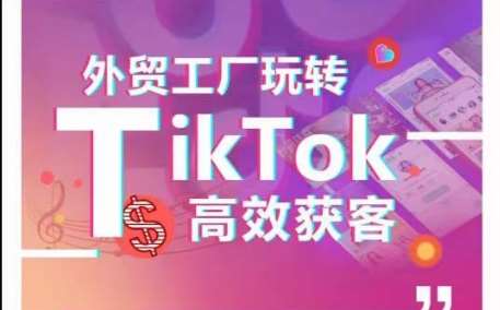 外贸工厂玩转TikTok高效获客,多种引流方式与账号定位技巧,拆解爆款短视频打造成功案例网创吧-网创项目资源站-副业项目-创业项目-搞钱项目网创吧