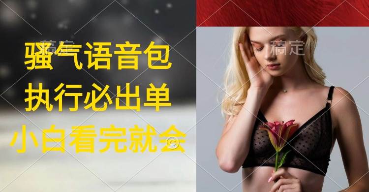 (9589期)执行就出单,日入2000+,超火骚气语音包,小白看完课程就能马上实操网创吧-网创项目资源站-副业项目-创业项目-搞钱项目网创吧