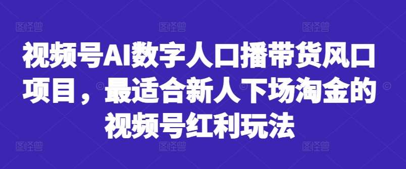 视频号AI数字人口播带货风口项目，最适合新人下场淘金的视频号红利玩法网创吧-网创项目资源站-副业项目-创业项目-搞钱项目网创吧