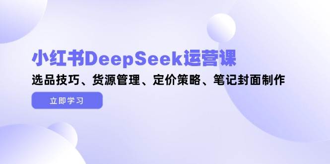 (14748期)小红书DeepSeek运营课,选品技巧、货源管理、定价策略、笔记封面制作网创吧-网创项目资源站-副业项目-创业项目-搞钱项目网创吧