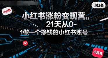 小红书涨粉变现营,21天从0-1做一个挣钱的小红书账号网创吧-网创项目资源站-副业项目-创业项目-搞钱项目网创吧