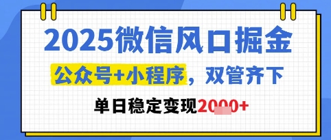 2025微信风口掘金,公众号+小程序双管齐下,单日稳定变现1k+【揭秘】网创吧-网创项目资源站-副业项目-创业项目-搞钱项目网创吧