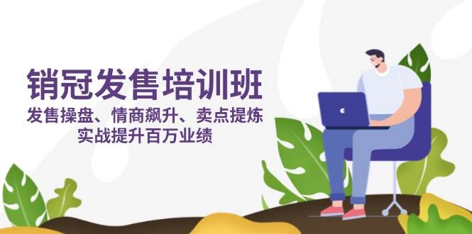 (14203期)销冠 发售培训班:发售 操盘+情商 飙升+卖点 提炼,实战提升百万业绩网创吧-网创项目资源站-副业项目-创业项目-搞钱项目网创吧