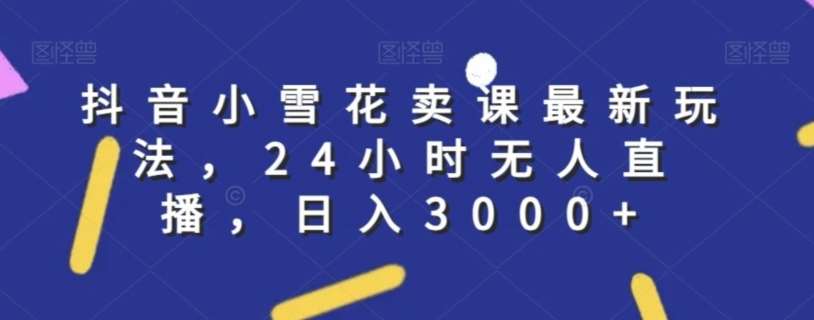 抖音小雪花卖课最新玩法，24小时无人直播，日入3000+【揭秘】网创吧-网创项目资源站-副业项目-创业项目-搞钱项目网创吧
