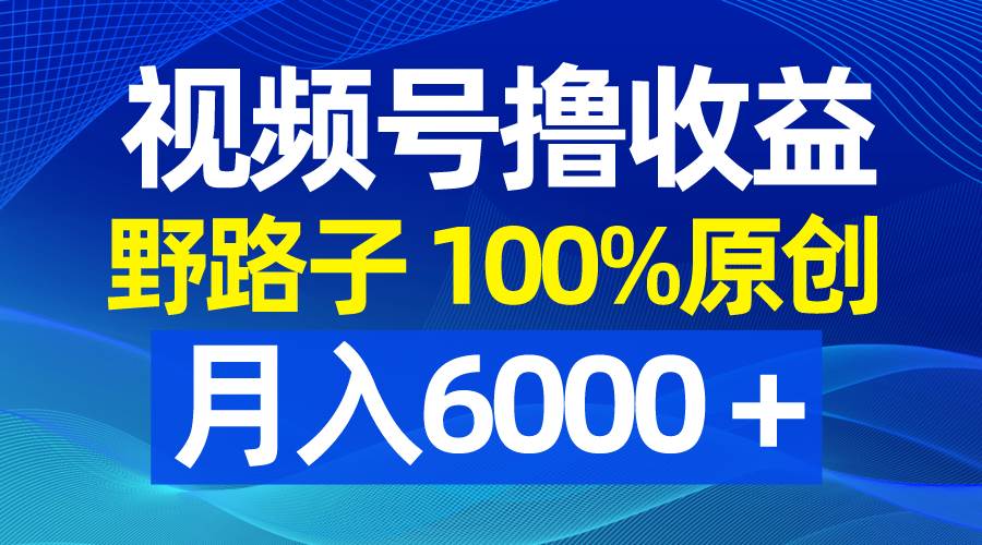 (8679期)视频号野路子撸收益,100%原创,条条爆款,月入6000+网创吧-网创项目资源站-副业项目-创业项目-搞钱项目网创吧