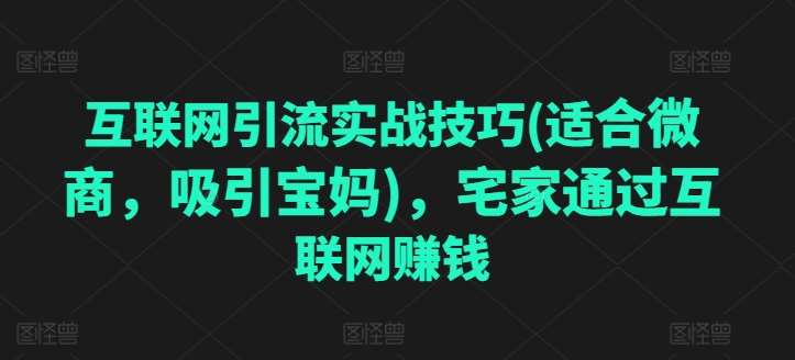 互联网引流实战技巧(适合微商,吸引宝妈),宅家通过互联网赚钱网创吧-网创项目资源站-副业项目-创业项目-搞钱项目网创吧