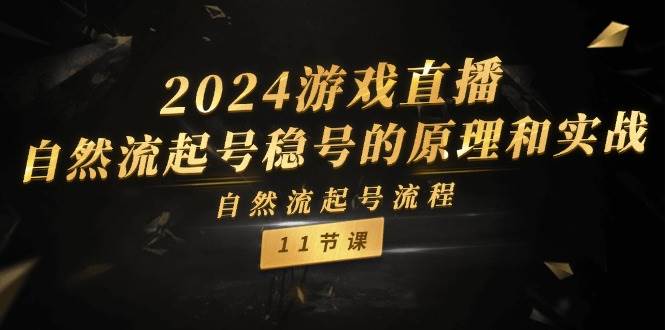 (11653期)2024游戏直播-自然流起号稳号的原理和实战,自然流起号流程(11节)网创吧-网创项目资源站-副业项目-创业项目-搞钱项目网创吧