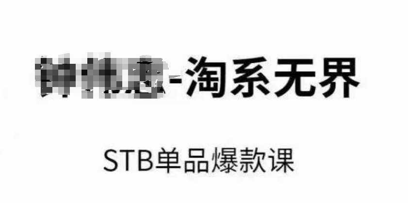 淘系无界STB单品爆款课(2024),付费带动免费的核心逻辑,万相台无界关键词推广/精准人群的核心网创吧-网创项目资源站-副业项目-创业项目-搞钱项目网创吧