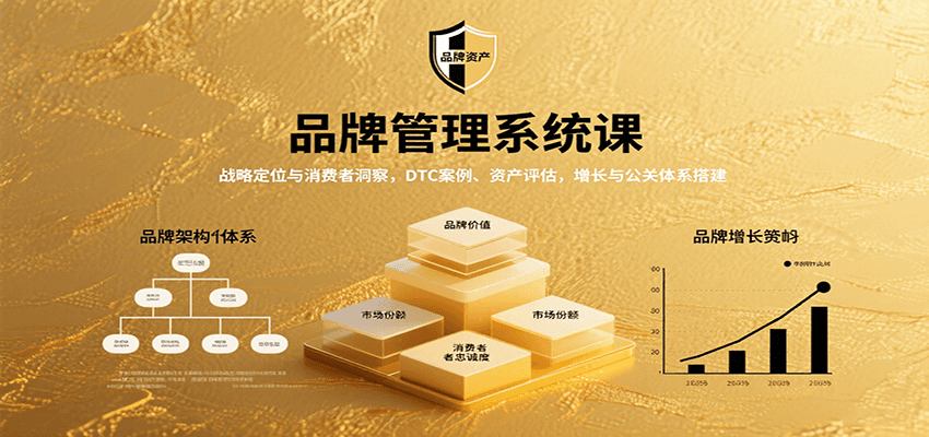 品牌管理系统课:战略定位与消费者洞察,DTC案例、资产评估,增长与公关体系搭建网创吧-网创项目资源站-副业项目-创业项目-搞钱项目网创吧