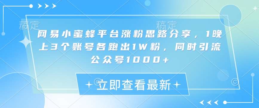 网易小蜜蜂平台涨粉思路分享,1晚上3个账号各跑出1W粉,同时引流公众号1000+网创吧-网创项目资源站-副业项目-创业项目-搞钱项目网创吧