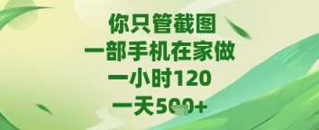 你只管截图，一部手机在家做，苹果安卓都可以，一天5张+【揭秘】网创吧-网创项目资源站-副业项目-创业项目-搞钱项目网创吧