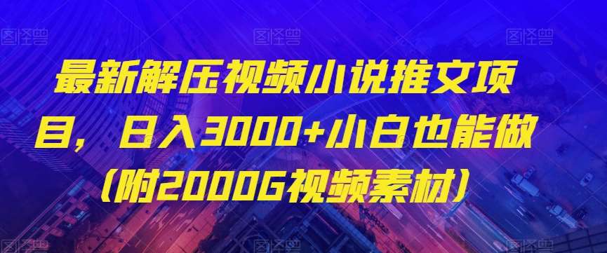 最新解压视频小说推文项目,日入3000+小白也能做(附2000G视频素材)【揭秘】网创吧-网创项目资源站-副业项目-创业项目-搞钱项目网创吧