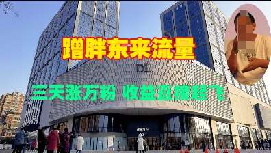 蹭胖东来流量,三天涨万粉,收益直接起飞网创吧-网创项目资源站-副业项目-创业项目-搞钱项目网创吧