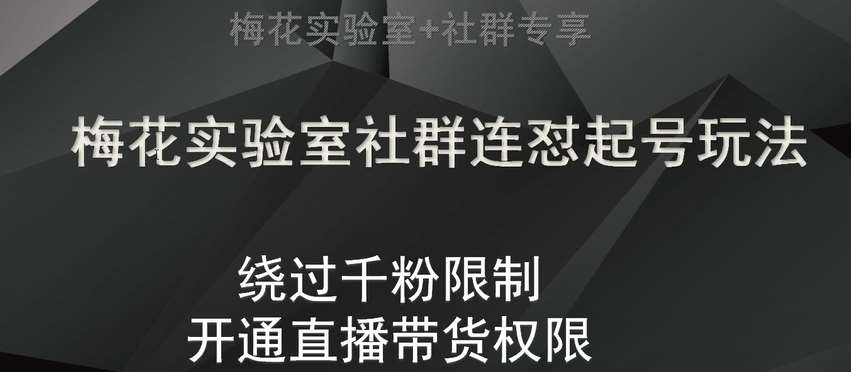梅花实验室社群连怼起号玩法,视频号绕过千粉限制,开通直播带货权限【揭秘】网创吧-网创项目资源站-副业项目-创业项目-搞钱项目网创吧