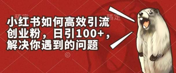 小红书如何高效引流创业粉,日引100+,解决你遇到的问题【揭秘】网创吧-网创项目资源站-副业项目-创业项目-搞钱项目网创吧