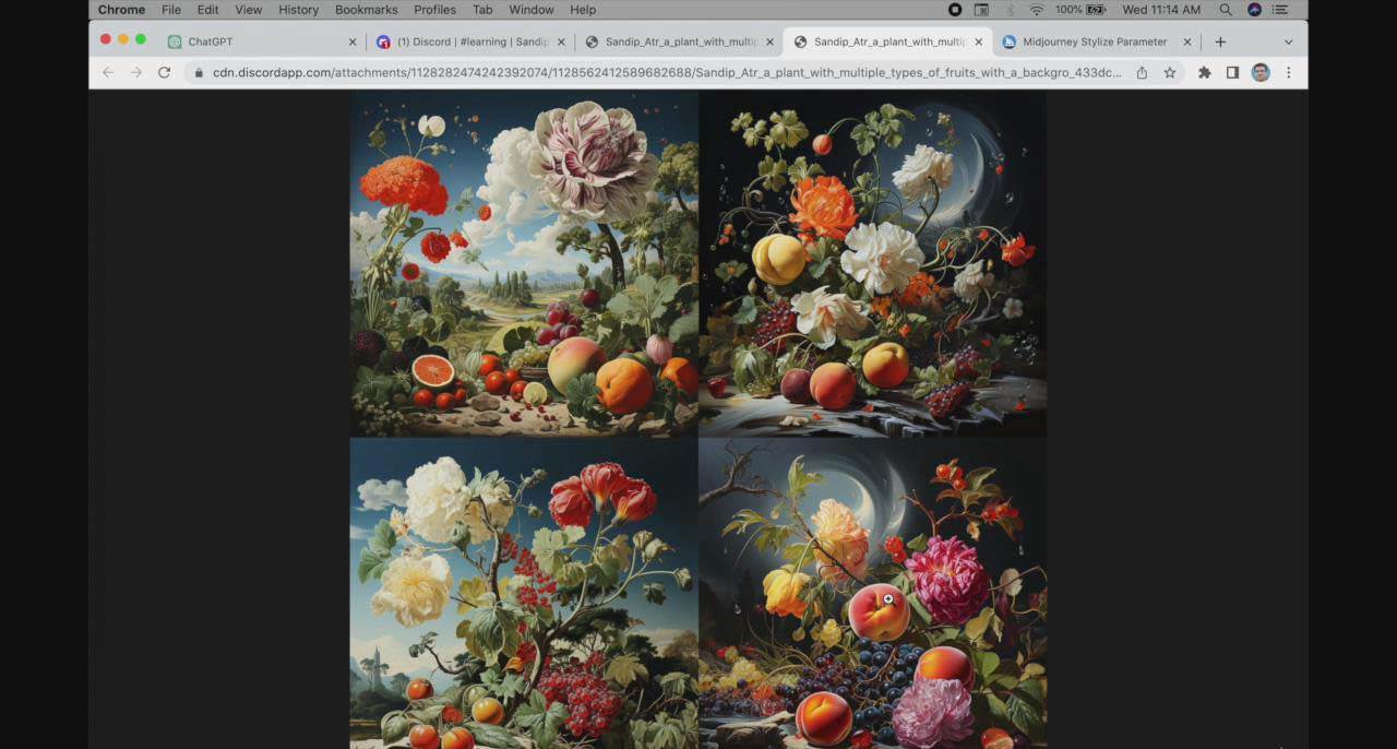 (8806期)ChatGPT4 和 MidJourney AI 绘画聊天革命性指南教程-33节视频课-中英字幕网创吧-网创项目资源站-副业项目-创业项目-搞钱项目网创吧