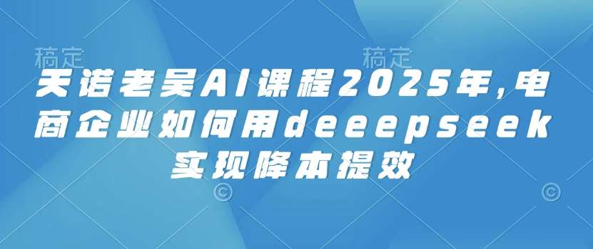 天诺老吴AI课程2025年,电商企业如何用deeepseek实现降本提效网创吧-网创项目资源站-副业项目-创业项目-搞钱项目网创吧