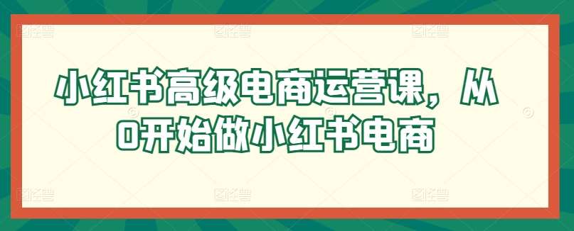 小红书高级电商运营课,从0开始做小红书电商网创吧-网创项目资源站-副业项目-创业项目-搞钱项目网创吧
