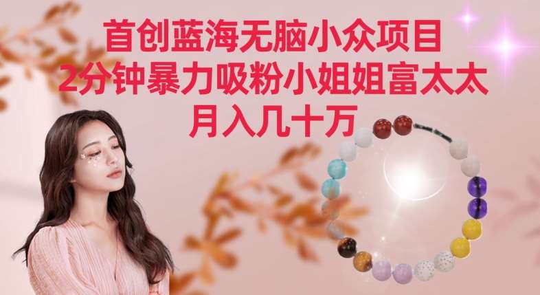 首创蓝海无脑小众项目,2分钟暴力吸粉小姐姐富太太,月入几十万【揭秘】网创吧-网创项目资源站-副业项目-创业项目-搞钱项目网创吧