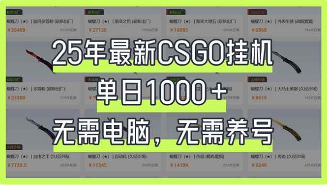 (14178期)25年最新CSGO挂机系统,单日1000+,无需电脑,无需养号,0基础可上手网创吧-网创项目资源站-副业项目-创业项目-搞钱项目网创吧