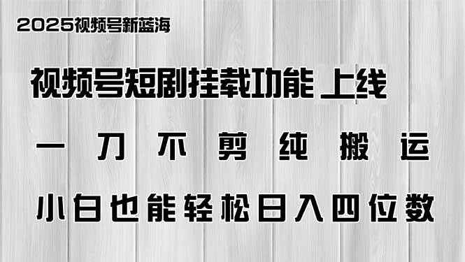 (14310期)视频号短剧挂载功能上线,一刀不剪纯搬运,小白也能轻松日入四位数网创吧-网创项目资源站-副业项目-创业项目-搞钱项目网创吧