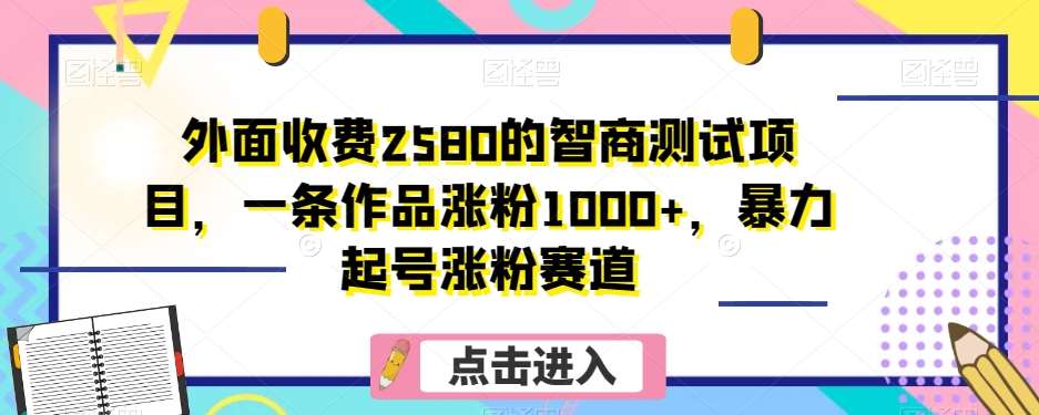 外面收费2580的智商测试项目,一条作品涨粉1000+,暴力起号涨粉赛道【揭秘】网创吧-网创项目资源站-副业项目-创业项目-搞钱项目网创吧