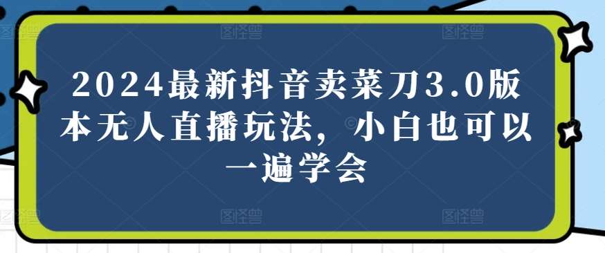 2024最新抖音卖菜刀3.0版本无人直播玩法,小白也可以一遍学会【揭秘】网创吧-网创项目资源站-副业项目-创业项目-搞钱项目网创吧