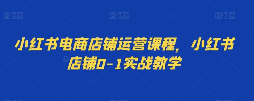 小红书电商店铺运营课程,小红书店铺0-1实战教学网创吧-网创项目资源站-副业项目-创业项目-搞钱项目网创吧