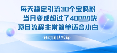 每天稳定引流30个人 当月变成超过了4个W项目流程非常简单适合小白网创吧-网创项目资源站-副业项目-创业项目-搞钱项目网创吧