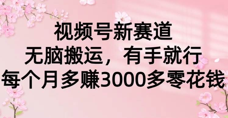 (9278期)视频号新赛道,无脑搬运,有手就行,每个月多赚3000多零花钱网创吧-网创项目资源站-副业项目-创业项目-搞钱项目网创吧