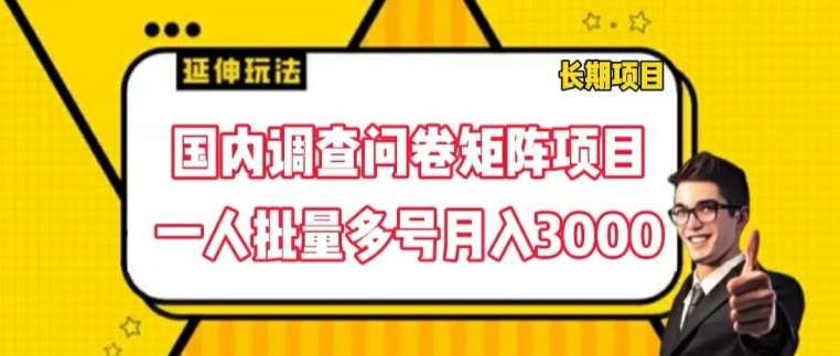 国内调查问卷矩阵项目,一人批量多号月入3000【揭秘】网创吧-网创项目资源站-副业项目-创业项目-搞钱项目网创吧
