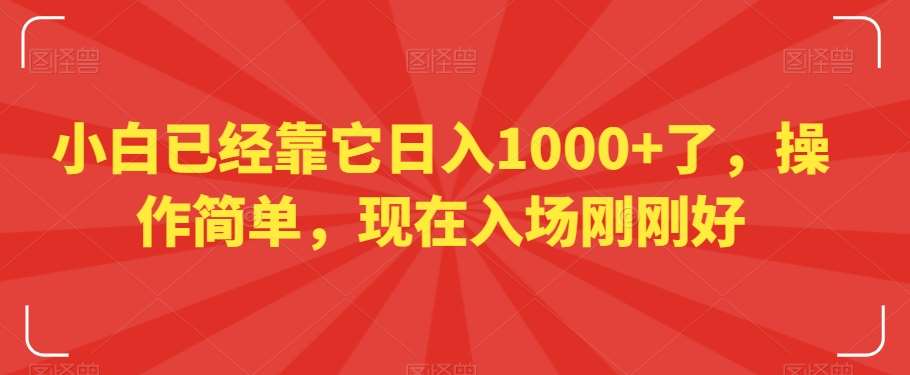 小白已经靠它日入1000+了,操作简单,现在入场刚刚好【揭秘】网创吧-网创项目资源站-副业项目-创业项目-搞钱项目网创吧