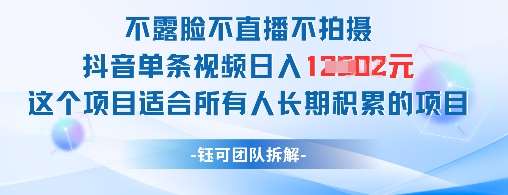 不露脸不直播不拍摄抖音单条视频日入1k+这个项目适合所有人长期积累的项目网创吧-网创项目资源站-副业项目-创业项目-搞钱项目网创吧