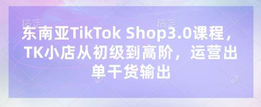 东南亚TikTok Shop3.0课程,TK小店从初级到高阶,运营出单干货输出网创吧-网创项目资源站-副业项目-创业项目-搞钱项目网创吧