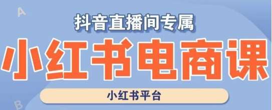 小红书电商高级运营课程,实操教学+案例分析网创吧-网创项目资源站-副业项目-创业项目-搞钱项目网创吧