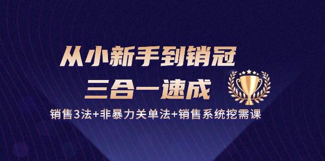 (10799期)从小新手到销冠 三合一速成:销售3法+非暴力关单法+销售系统挖需课 (27节)网创吧-网创项目资源站-副业项目-创业项目-搞钱项目网创吧