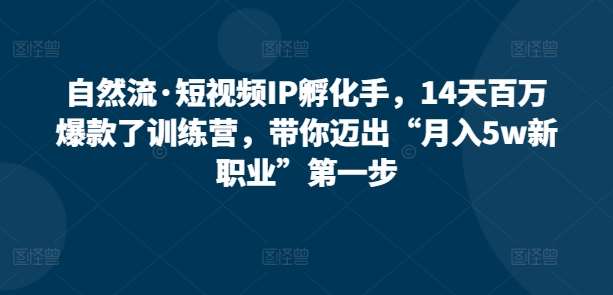 自然流·短视频IP孵化手,14天百万爆款了训练营,带你迈出“月入5w新职业”第一步网创吧-网创项目资源站-副业项目-创业项目-搞钱项目网创吧