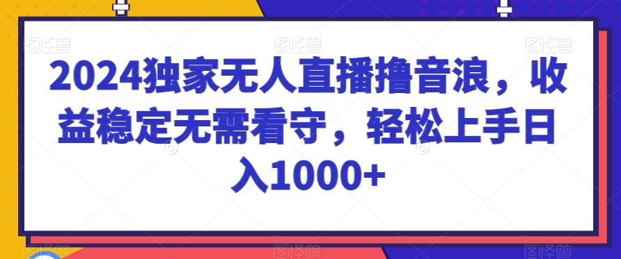2024独家无人直播撸音浪,收益稳定无需看守,轻松上手日入1000+【揭秘】网创吧-网创项目资源站-副业项目-创业项目-搞钱项目网创吧