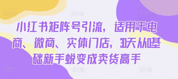 小红书矩阵号引流，适用于电商、微商、实体门店，30天从0基础新手蜕变成卖货高手网创吧-网创项目资源站-副业项目-创业项目-搞钱项目网创吧