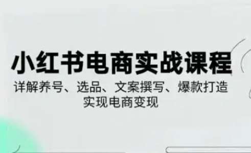 小红书从0-1实操课(2023-2025),详解养号、选品、文案撰写、爆款打造实现电商变现网创吧-网创项目资源站-副业项目-创业项目-搞钱项目网创吧