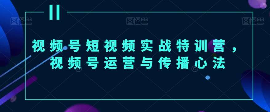 视频号短视频实战特训营,视频号运营与传播心法网创吧-网创项目资源站-副业项目-创业项目-搞钱项目网创吧