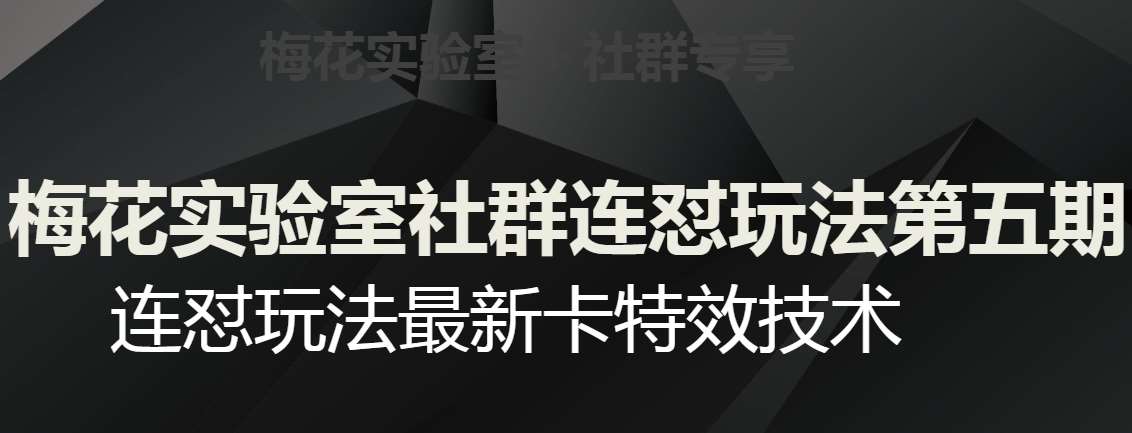 梅花实验室社群连怼玩法第五期，视频号连怼玩法最新卡特效技术网创吧-网创项目资源站-副业项目-创业项目-搞钱项目网创吧