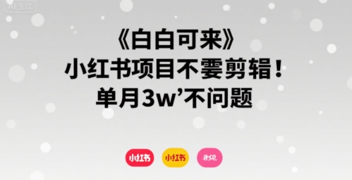 小白可来 小红书项目不需要剪辑 单月3w不是问题网创吧-网创项目资源站-副业项目-创业项目-搞钱项目网创吧